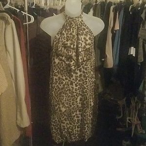 Leopard halter dress, Arden B